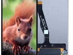 DISPLAY HUAWEI Y9 2019 / Y8S LCD 